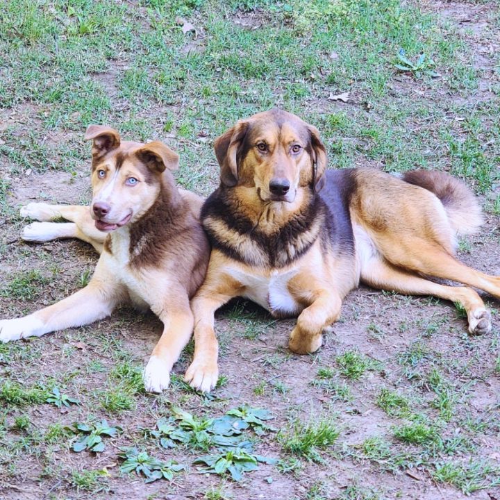 ij-jason-kelly-grateful-800×800